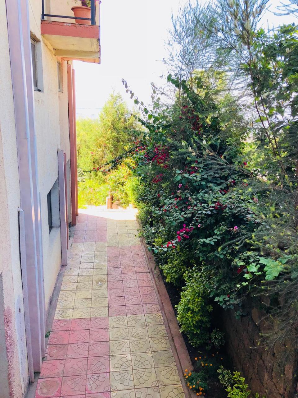 Red Rock Lalibela Hotel מראה חיצוני תמונה